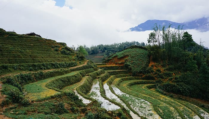 Ruộng